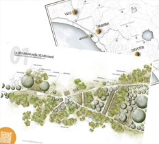 cartografia