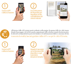 multimedia_2