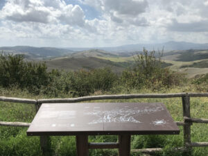 cooperativa ARA - allestimenti - San Casciano Bagni