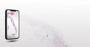 cooperativa ARA - digital creations