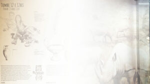 cooperativa ARA - fine art