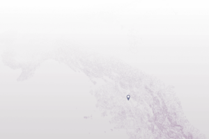 cooperativa ARA - digital creations 1